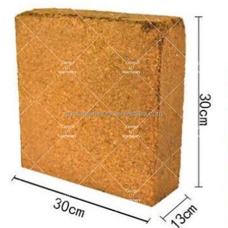 3500 KG Kapazität Kokosnuss-Kohlsteine Pressenmaschine für Baule Größe 600*400*300 mm