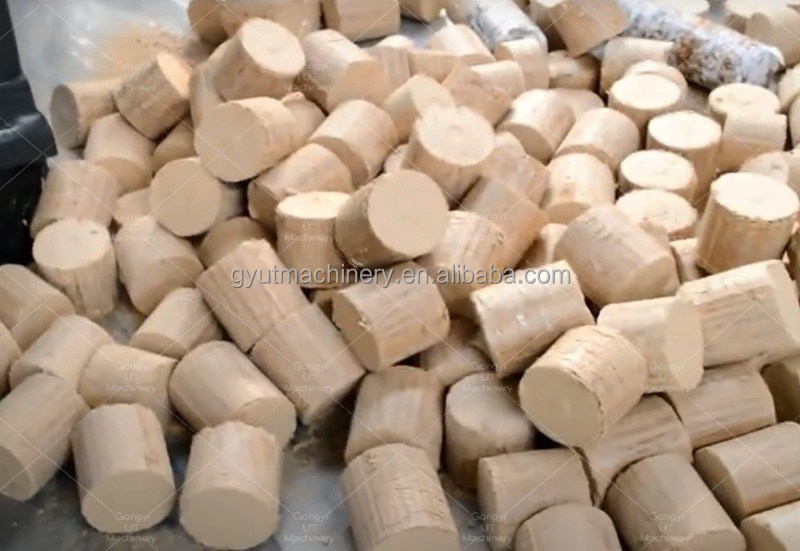 Polen 2023 800 KG Biomasse-Briquette-Maschine für die Produktion von Bambus-Briquette-Pressen