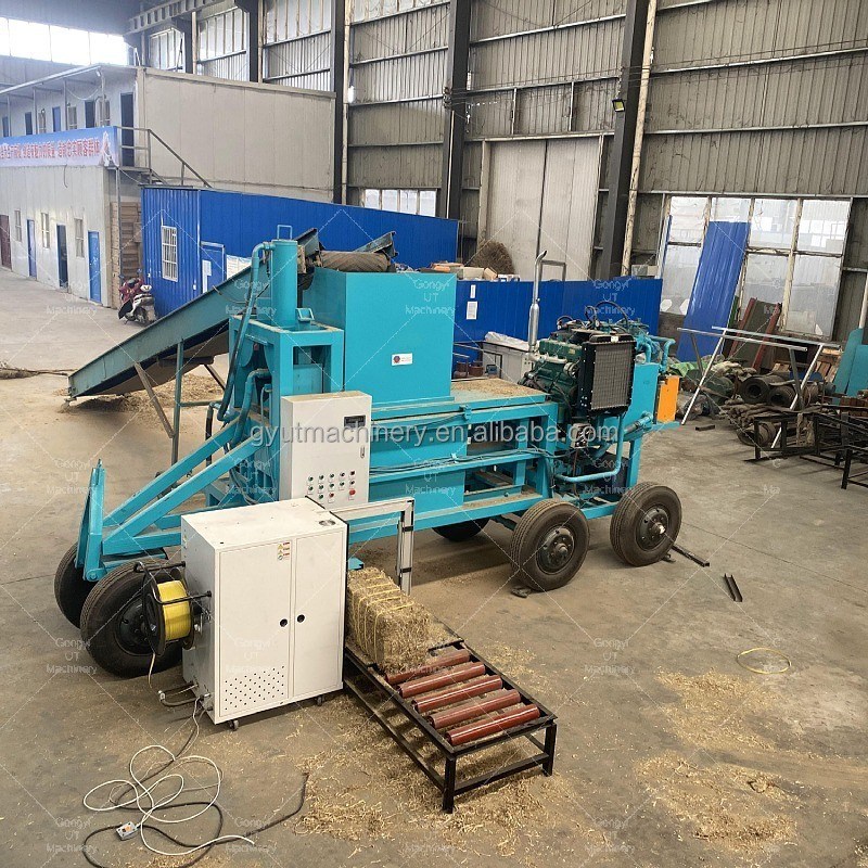 Hydraulische Baling-Maschine für Gras Heu Stamm Reis Hülse Silage Bale Größe 600*400*300 mm