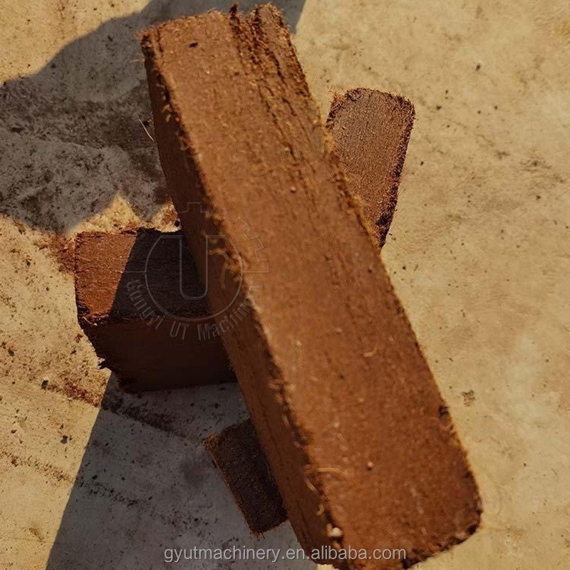 Beutel Verpackung 30t Druck Kokosnuss Pith Block Brikette Herstellmaschine für die Produktion