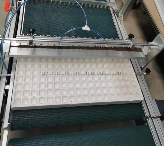 98% Rate Automatische Saatgut-Sägemaschinen zum Aussaat von Gemüsesamen in Betrieben