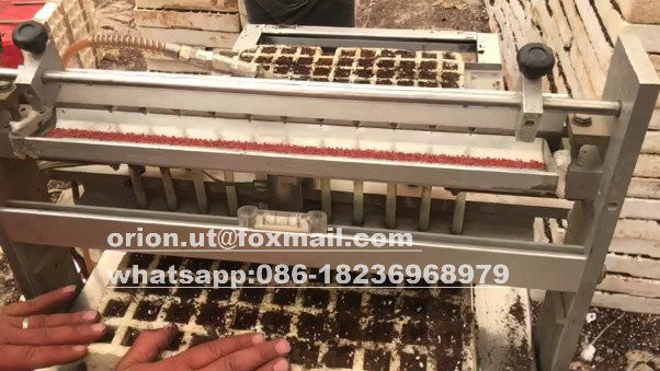 Maschinenreparaturbetriebe profitieren von 100M Karotten-Pfeffer-Tomaten-Brokkoli-Samenmaschine