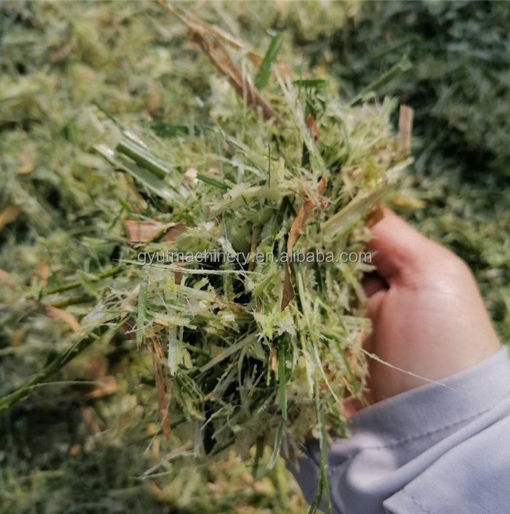 Erster Klasse Mini-Futter-Schneidemaschine Schleifschneider für Viehrasen in Pakistan