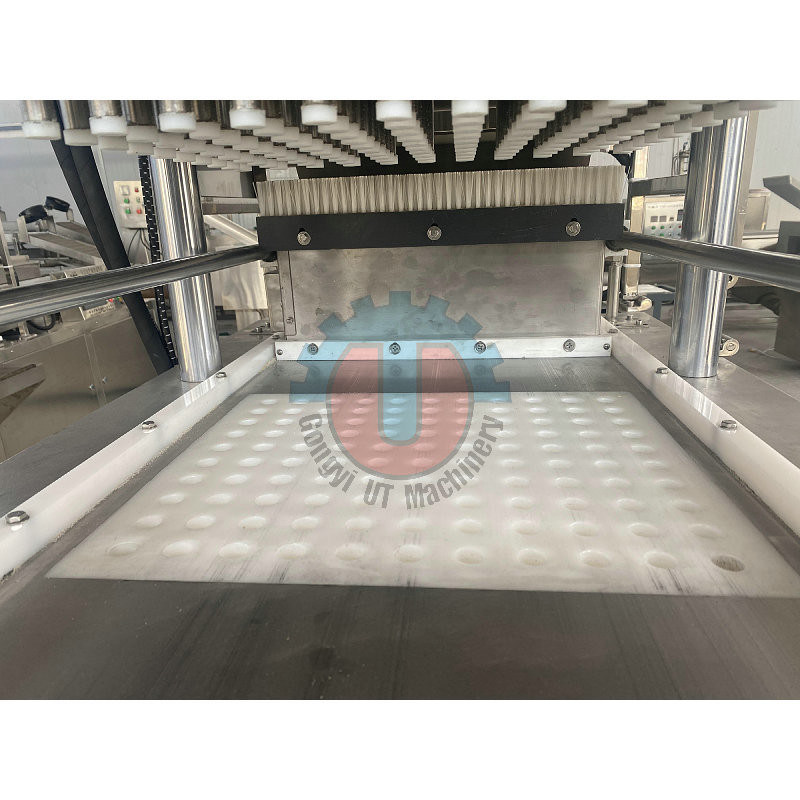 Anpassbare Jaggery Cube Zuckerpresse Verpackungsproduktionslinie Maschine für die Produktion