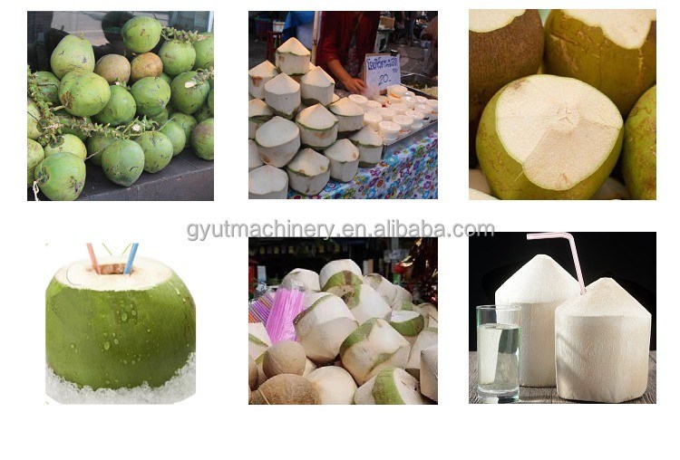 Verbessern Sie Ihr Produktionsspiel mit einem 0,8kw Green Coconut Peeler Trimming Dehusker