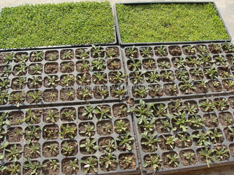 95%-98% Aussaatgenauigkeit Bauernhof Pflanzerei Aussaatmaschine für Zwiebel Salat Saatgut