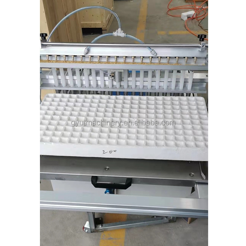 0.55-0.7 ha/Tag Arbeitsleistung Gemüseanbauer geeignet für die Tomatensaat