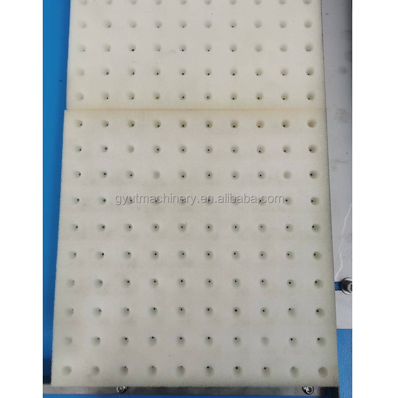 Ermäßigte Saumpflanzmaschine für Kohlsamen-Pflanzerei 600*700*800mm Größe