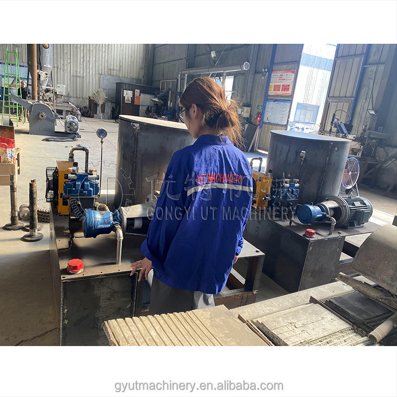 2024 Entwurf einer 100 kg pro Stunde Sägemist-Briquette-Pressmaschine für die Extrusion von Pferdemist