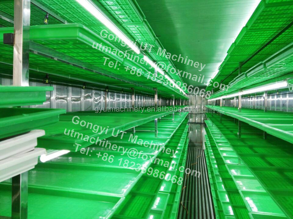 Kompakter Behälter Typ Hydroponisches Gerstefutter Wachstumsraum für optimale Spross-Box Größe