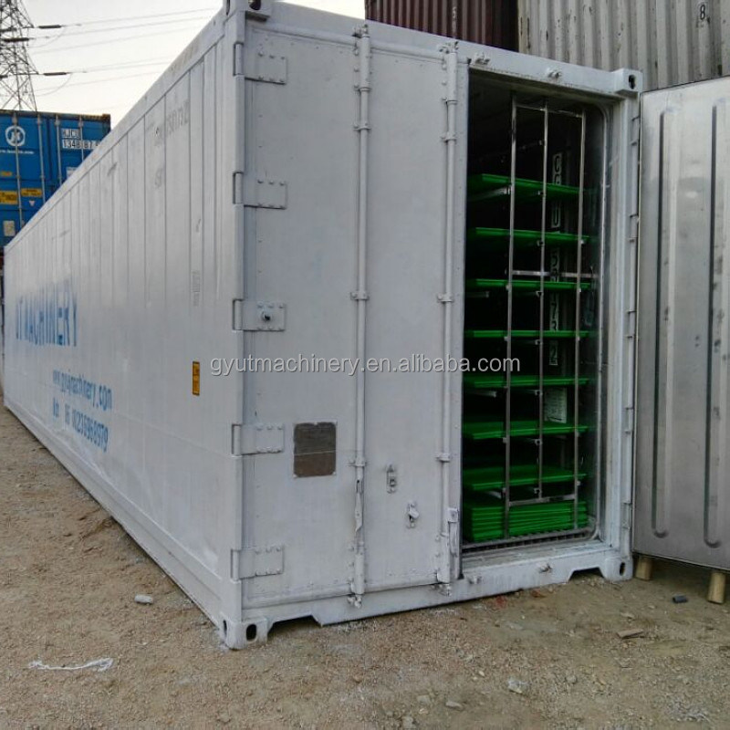 Multifunktionelle 20GP Hydroponische Schiffscontainer-Farm für Zuhause 1200KG Gewicht Grünes Futter
