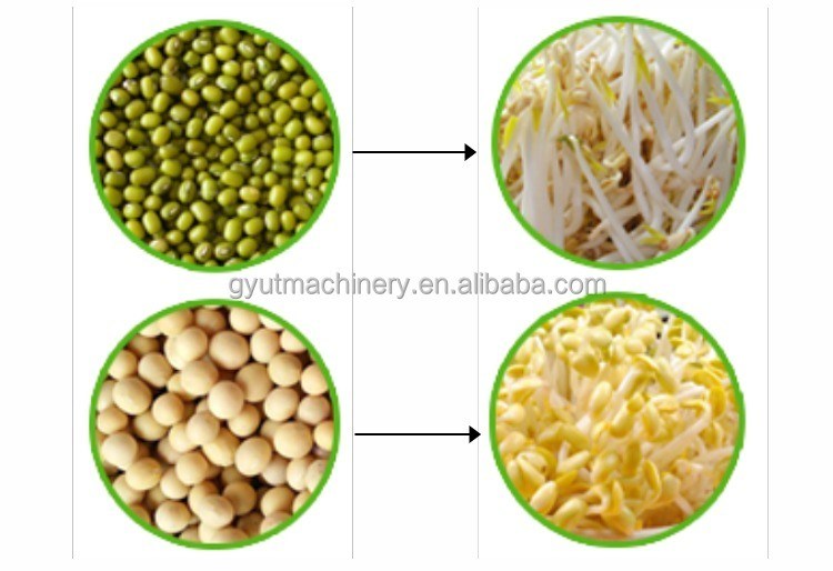 High-Notch-Mikrogreens Gemüseanbau Hydroponik-Maschinen für Maschinenreparaturwerkstätten