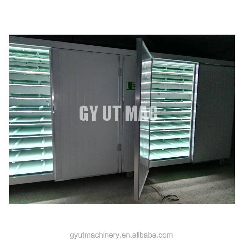 2400w Spannung 380V/eingerichtete Containerfarm mit grünem Futter für Tierfutter und Mikrogreens