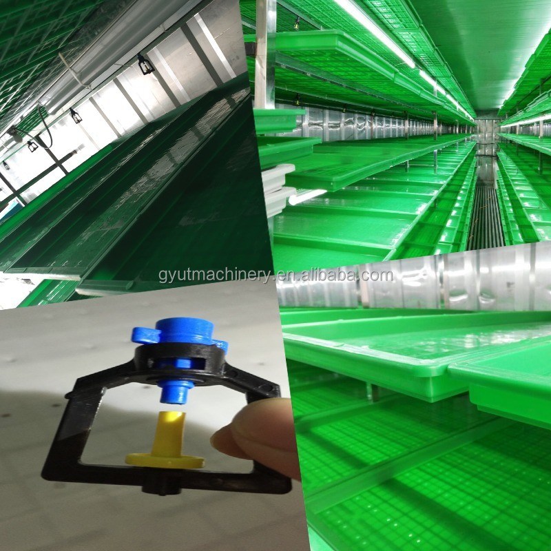 2400w Hydroponische Futterpflanzmaschine für die Produktion von Geflügelfutter in 61*44*27cm Größe