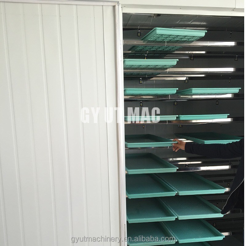 1 Tonnen/Tag Kapazität Hydroponische Rasenfütterungsanlage für Rinder, Schafe und grüne Futtermittel