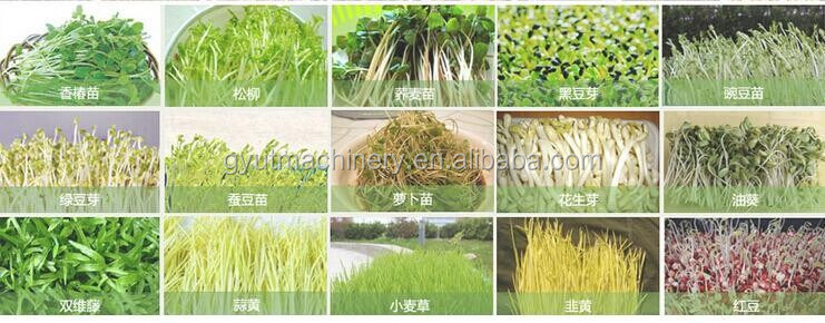 2024 Werbung C Harvestermaschinen zur Ernte Aquaponik Mikrogreens Produkte