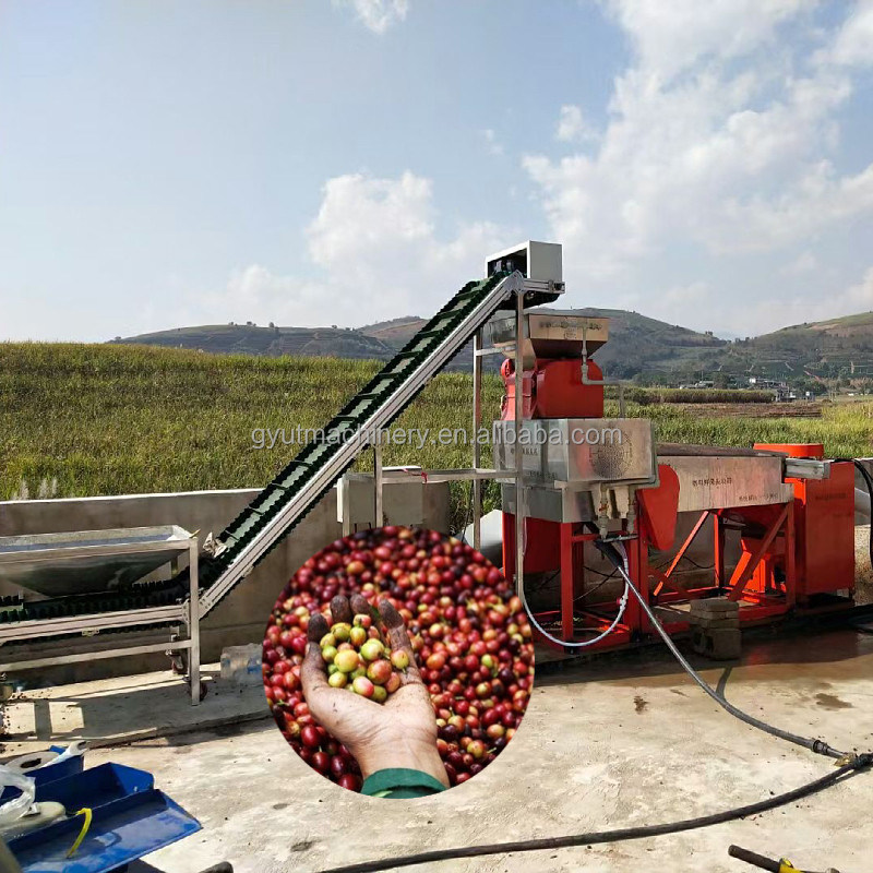 Kaffee-/Kakaobohnen-Schälmaschine für die industrielle Produktion mit 910*730*1265mm Größe