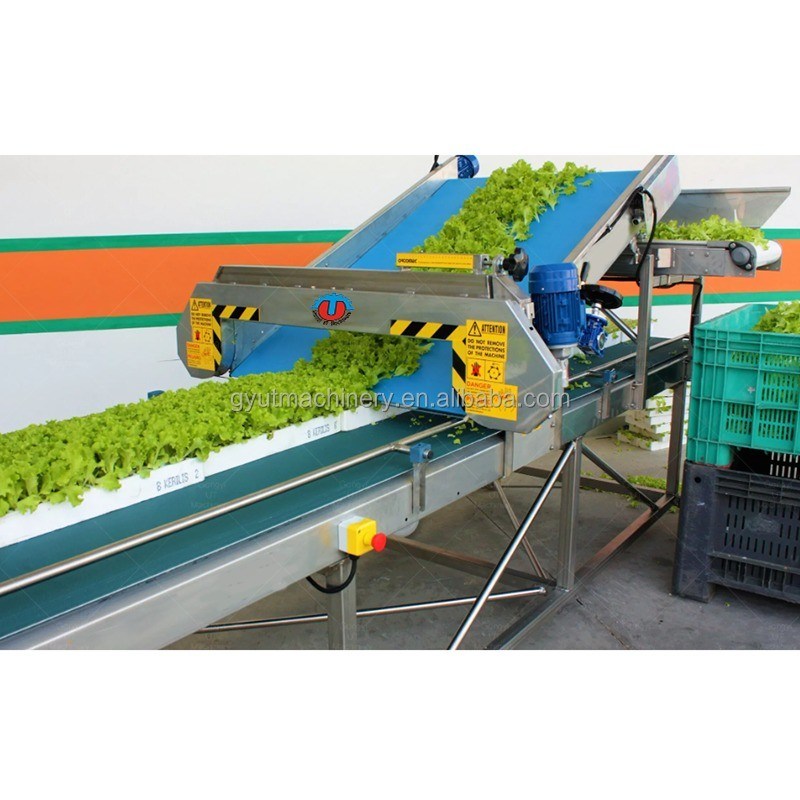 Quick Cutt Baby Leaf Harvester 220V Green Micro Harvester mit einer Bruchrate von ≤1,5%